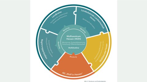 Abbildung der Zuständigkeiten in Hessen