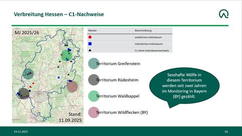 Karte der Territorien Wölfe Hessen